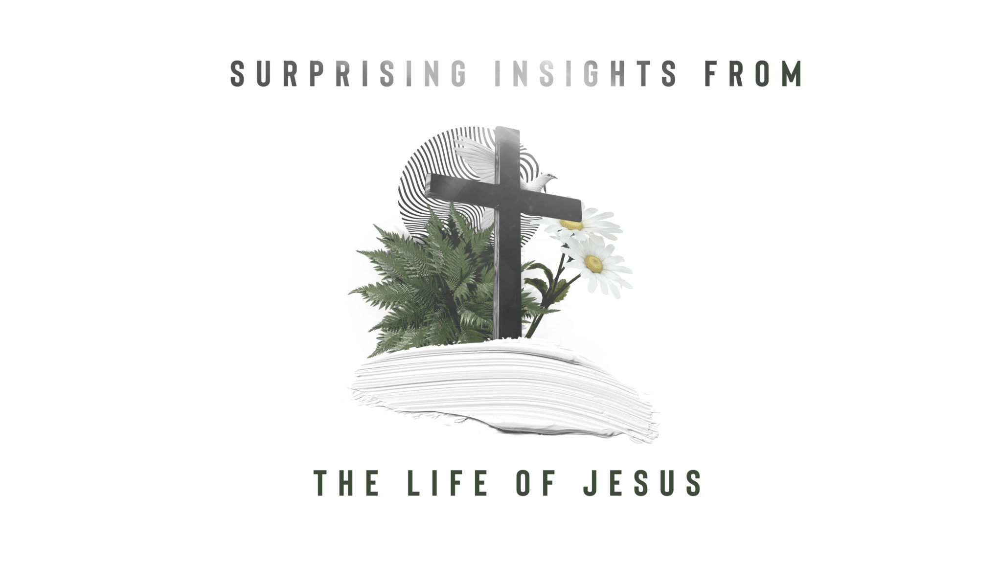 Surprising Insights From The Life Of Jesus